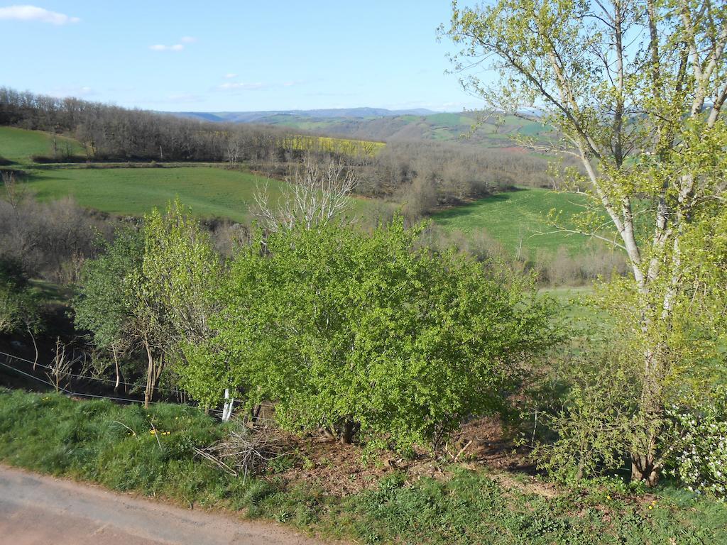 Gite Des Monts Saint-Izaire 외부 사진
