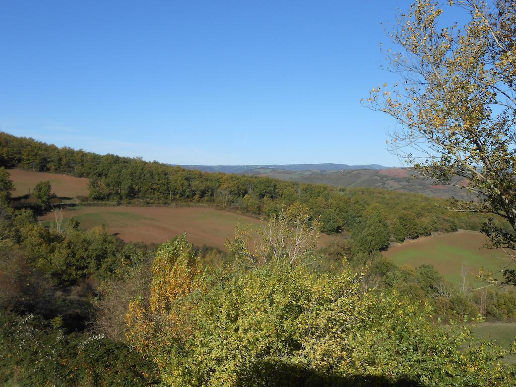 Gite Des Monts Saint-Izaire 외부 사진