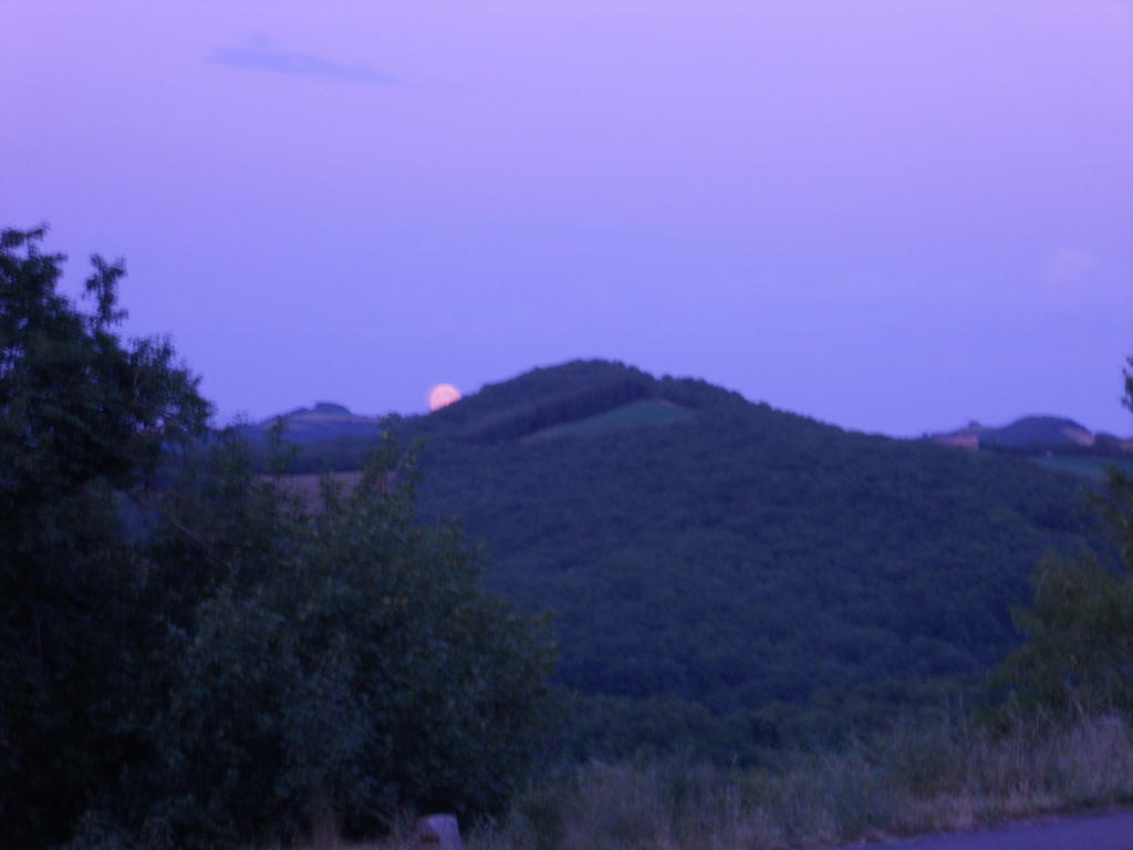 Gite Des Monts Saint-Izaire 외부 사진